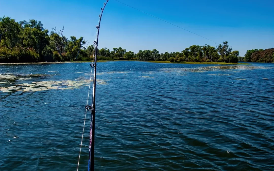 Chasing Giants: Guide to Barramundi Fishing in Cape York
