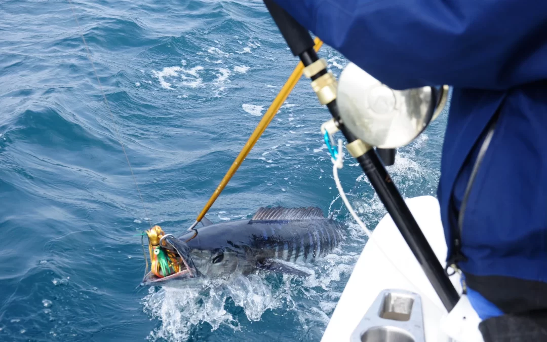 Escape to the Ultimate Fishing Adventure in Cape York Peninsula!