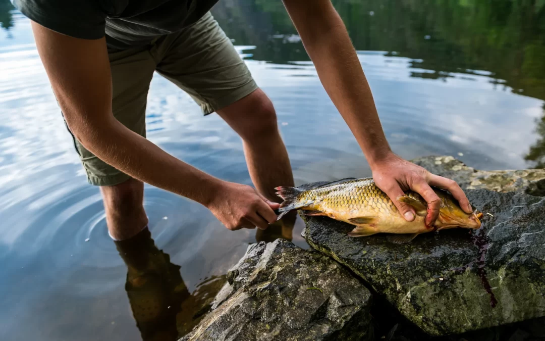 From Hook to Plate: Preparing and Cooking Your Cape York Catch